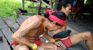 Getting to Know the Mentawai Tribe on Siberut Island
