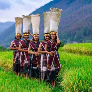 Northen Part Sumatra