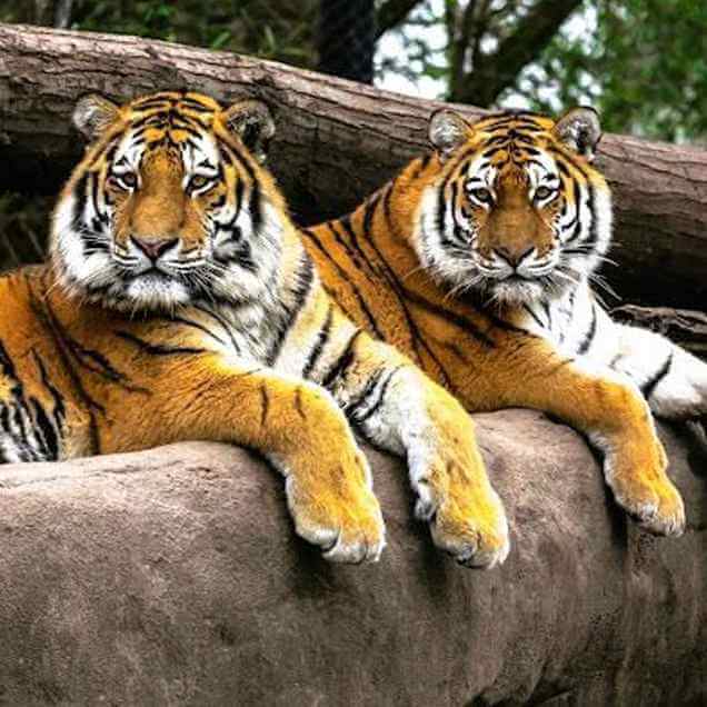 Southern Part Sumatra