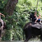 Tangkahan Ecotourism and Elephant Conservation Area