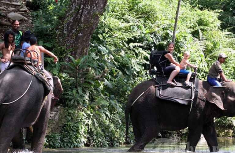Tangkahan Ecotourism and Elephant Conservation Area
