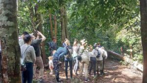 Wonders of Leuser National Park Trekking