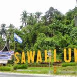 The Charm of Sawahlunto City Tourism