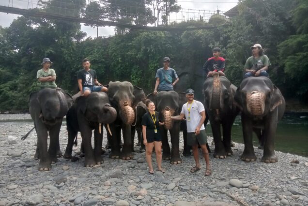 06 JOURS / 05 NUITS EXPLOREZ LA NATURE DU PARC NATIONAL LEUSER L’ÉLÉPHANTS SUMATRA & ORANG UTAN SUMATRA
