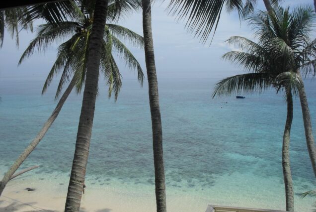 16 JOURS / 15 NUITS EXPLOREZ LE PARC NATIONAL LEUSER +  LOISIRS À L'ILE WEH VISITE TERRESTRE DE LA PROVINCE DE  SUMATRA DU NORD ET D'ACEH