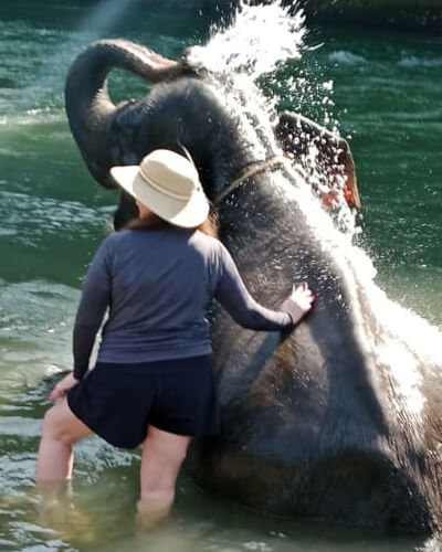 washing_elephant_tangkahan