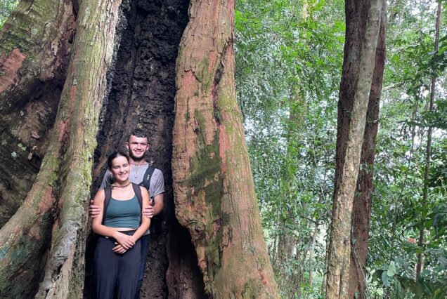 05 JOURS / 04 NUITS MEDAN – LEUSER NATIONAL PARK TREKKING